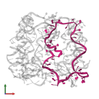 DNA (50-MER) in PDB entry 7ywi, assembly 1, front view.