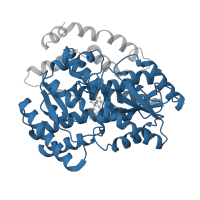 The deposited structure of PDB entry 7yyl contains 4 copies of Pfam domain PF06050 (2-hydroxyglutaryl-CoA dehydratase, D-component ) in Dehydratase family protein. Showing 1 copy in chain E [auth A].