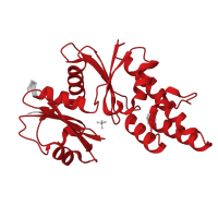 The deposited structure of PDB entry 7yyl contains 4 copies of Pfam domain PF01869 (BadF/BadG/BcrA/BcrD ATPase family) in ATPase BadF/BadG/BcrA/BcrD type domain-containing protein. Showing 1 copy in chain C [auth E].