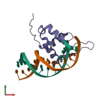 PDB entry 7yzf coloured by chain, front view.