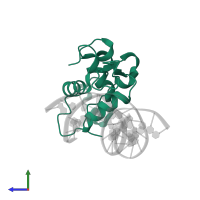 Forkhead box protein H1 in PDB entry 7yzg, assembly 1, side view.