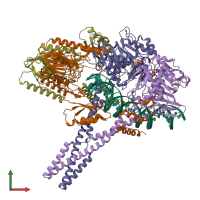 PDB entry 7yzp coloured by chain, front view.