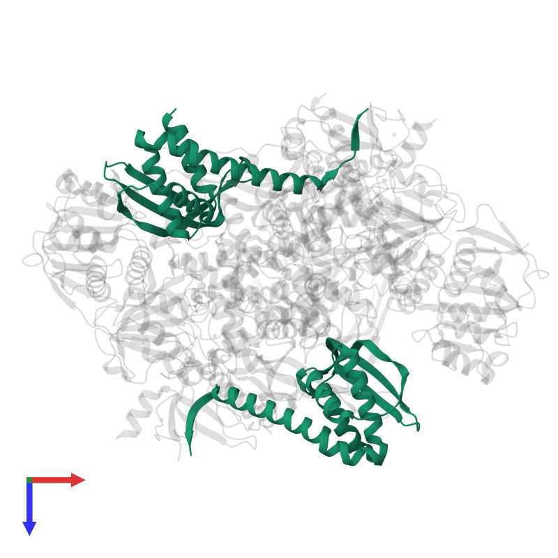 Alpha-D-ribose 1-methylphosphonate 5-triphosphate synthase subunit PhnG in PDB entry 7z19, assembly 1, top view.