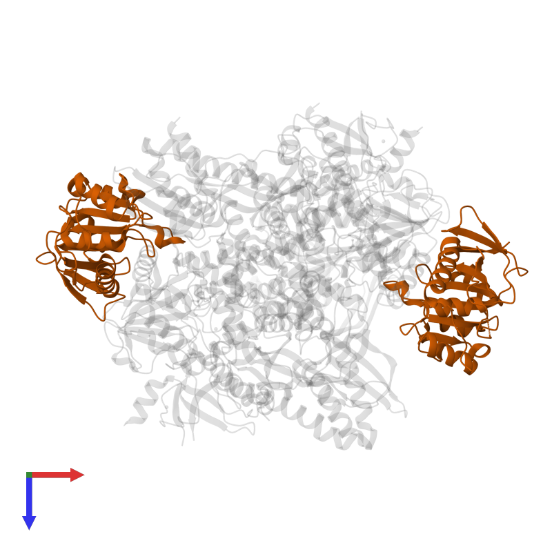 Alpha-D-ribose 1-methylphosphonate 5-triphosphate synthase subunit PhnH in PDB entry 7z19, assembly 1, top view.