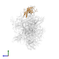 DNA-directed RNA polymerase III subunit RPC4 in PDB entry 7z1m, assembly 1, side view.