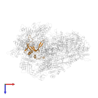 DNA-directed RNA polymerase III subunit RPC4 in PDB entry 7z1m, assembly 1, top view.