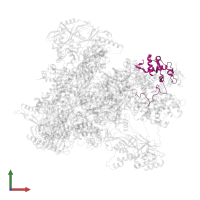 DNA-directed RNA polymerase III subunit RPC6 in PDB entry 7z1m, assembly 1, front view.