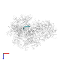 RNA in PDB entry 7z1m, assembly 1, top view.