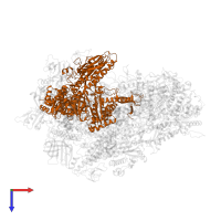 DNA-directed RNA polymerase III subunit RPC2 in PDB entry 7z1m, assembly 1, top view.