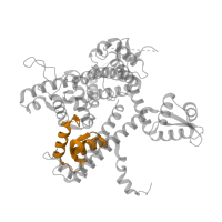 The deposited structure of PDB entry 7z1n contains 1 copy of Pfam domain PF08221 (RNA polymerase III subunit RPC82 helix-turn-helix domain) in DNA-directed RNA polymerase III subunit RPC3. Showing 1 copy in chain L [auth O].