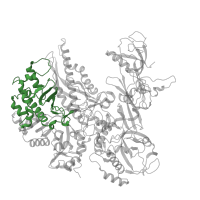 The deposited structure of PDB entry 7z1n contains 1 copy of Pfam domain PF04561 (RNA polymerase Rpb2, domain 2) in DNA-directed RNA polymerase III subunit RPC2. Showing 1 copy in chain B.