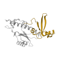 The deposited structure of PDB entry 7z1n contains 1 copy of Pfam domain PF01191 (RNA polymerase Rpb5, C-terminal domain) in DNA-directed RNA polymerases I, II, and III subunit RPABC1. Showing 1 copy in chain E.
