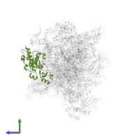 DNA-directed RNA polymerases I, II, and III subunit RPABC1 in PDB entry 7z1n, assembly 1, side view.
