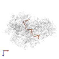 T-DNA in PDB entry 7z1o, assembly 1, top view.