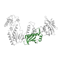 The deposited structure of PDB entry 7z29 contains 1 copy of Pfam domain PF06815 (Reverse transcriptase connection domain) in Reverse transcriptase/ribonuclease H. Showing 1 copy in chain A.