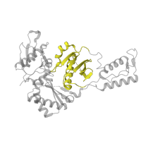 The deposited structure of PDB entry 7z29 contains 1 copy of Pfam domain PF06815 (Reverse transcriptase connection domain) in p51 RT. Showing 1 copy in chain B.