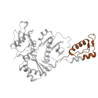 The deposited structure of PDB entry 7z29 contains 1 copy of Pfam domain PF06817 (Reverse transcriptase thumb domain) in p51 RT. Showing 1 copy in chain B.