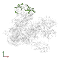 DNA-directed RNA polymerase III subunit RPC5 in PDB entry 7z30, assembly 1, front view.