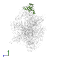 DNA-directed RNA polymerase III subunit RPC5 in PDB entry 7z30, assembly 1, side view.