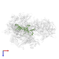 DNA-directed RNA polymerase III subunit RPC5 in PDB entry 7z30, assembly 1, top view.