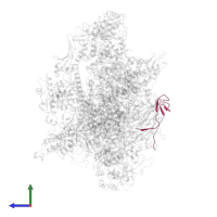 DNA-directed RNA polymerases I, II, and III subunit RPABC4 in PDB entry 7z31, assembly 1, side view.