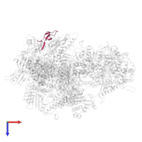 DNA-directed RNA polymerases I, II, and III subunit RPABC4 in PDB entry 7z31, assembly 1, top view.