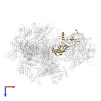 DNA-directed RNA polymerase III subunit RPC8 in PDB entry 7z31, assembly 1, top view.