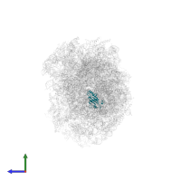 Large ribosomal subunit protein uL5A in PDB entry 7z34, assembly 1, side view.