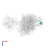 Large ribosomal subunit protein uL5A in PDB entry 7z34, assembly 1, top view.