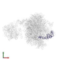 5S ribosomal RNA in PDB entry 7z34, assembly 1, front view.