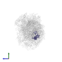 5S ribosomal RNA in PDB entry 7z34, assembly 1, side view.