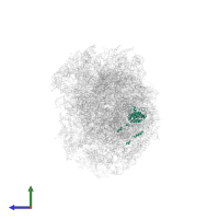 Large ribosomal subunit protein uL18 in PDB entry 7z34, assembly 1, side view.