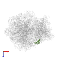 Small ribosomal subunit protein eS1 in PDB entry 7z3o, assembly 1, top view.