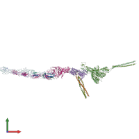 PDB entry 7z4f coloured by chain, front view.