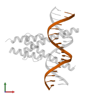 DNA (5'-D(P*GP*CP*GP*CP*AP*AP*CP*AP*GP*CP*TP*GP*AP*CP*GP*CP*GP*T)-3') in PDB entry 7z5k, assembly 1, front view.