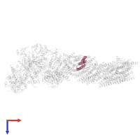 NADH-quinone oxidoreductase subunit K in PDB entry 7z80, assembly 1, top view.