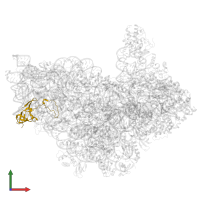 Small ribosomal subunit protein eS8 in PDB entry 7zag, assembly 1, front view.