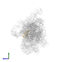 Small ribosomal subunit protein eS8 in PDB entry 7zag, assembly 1, side view.