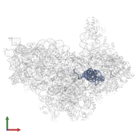 Met-tRNAiMET in PDB entry 7zag, assembly 1, front view.