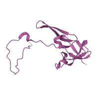 The deposited structure of PDB entry 7zai contains 1 copy of Pfam domain PF01201 (Ribosomal protein S8e) in Small ribosomal subunit protein eS8. Showing 1 copy in chain K [auth J].