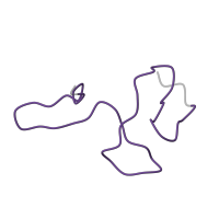 The deposited structure of PDB entry 7zai contains 1 copy of Pfam domain PF01599 (Ribosomal protein S27a) in Small ribosomal subunit protein eS31. Showing 1 copy in chain Z [auth Y].