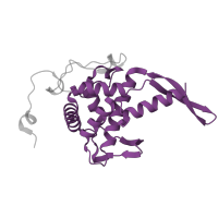 The deposited structure of PDB entry 7zai contains 1 copy of Pfam domain PF00177 (Ribosomal protein S7p/S5e) in Small ribosomal subunit protein uS7. Showing 1 copy in chain I [auth H].