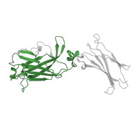The deposited structure of PDB entry 7zan contains 1 copy of Pfam domain PF16556 (Interleukin-17 receptor, fibronectin-III-like domain 1) in Interleukin-17 receptor A. Showing 1 copy in chain C.