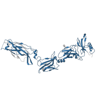 The deposited structure of PDB entry 7zan contains 1 copy of Pfam domain PF15037 (Interleukin-17 receptor extracellular region) in Interleukin-17 receptor C. Showing 1 copy in chain D.