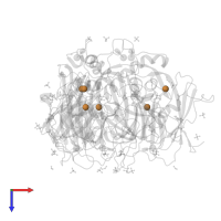 COPPER (II) ION in PDB entry 7zcr, assembly 1, top view.
