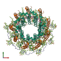 Hetero 19-meric assembly 1 of PDB entry 7zcu coloured by chemically distinct molecules, front view.