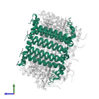 Light-harvesting protein B-800-850 alpha chain A in PDB entry 7zcu, assembly 1, side view.