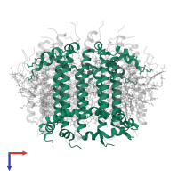 Light-harvesting protein B-800-850 alpha chain A in PDB entry 7zcu, assembly 1, top view.