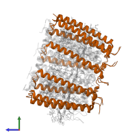 Light-harvesting protein B-800-850 beta chain A in PDB entry 7zcu, assembly 1, side view.