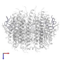 PucA-LH2-gamma in PDB entry 7zcu, assembly 1, top view.